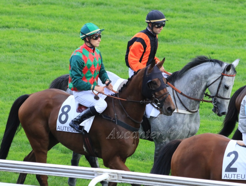 Photos Auteuil 14-10-2018 5j6a7818