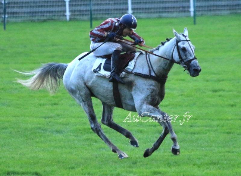 Photos Auteuil 3-11-2019 - Page 2 5j6a8012