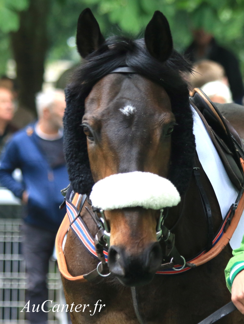 Photos Auteuil 19-05-2019 5j6a8139