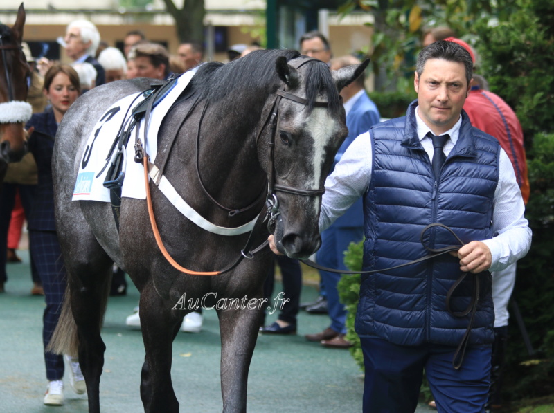 Photos Auteuil 19-05-2019 5j6a8239