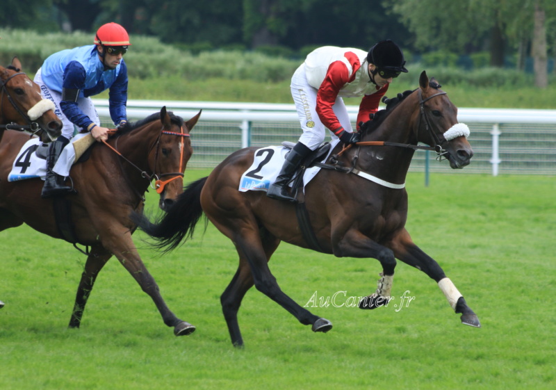 Photos Auteuil 19-05-2019 5j6a8314