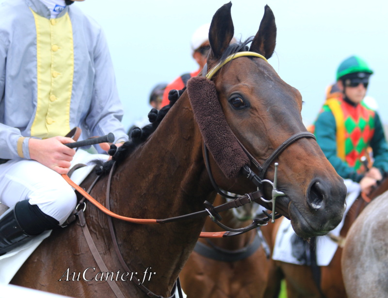 Photos Auteuil 19-05-2019 5j6a8415