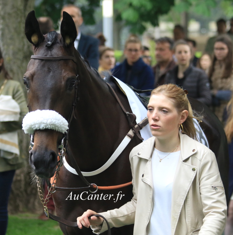 Photos Auteuil 19-05-2019 5j6a8511