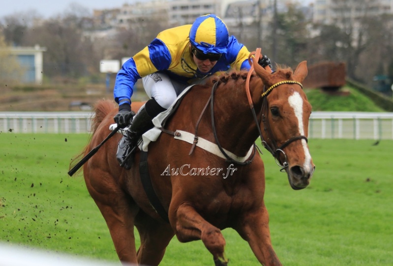 Photos Auteuil 07-03-2020 5j6a9734