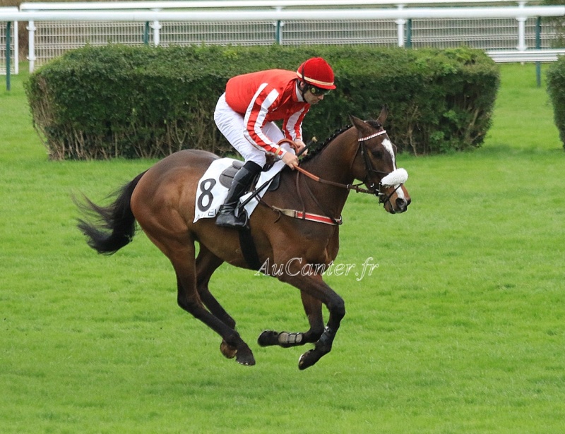 Photos Auteuil 07-03-2020 5j6a9832