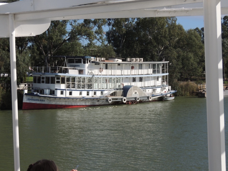 Murrey river paddle steamers Ps_coo10
