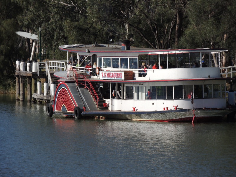 Murrey river paddle steamers Ps_mel12