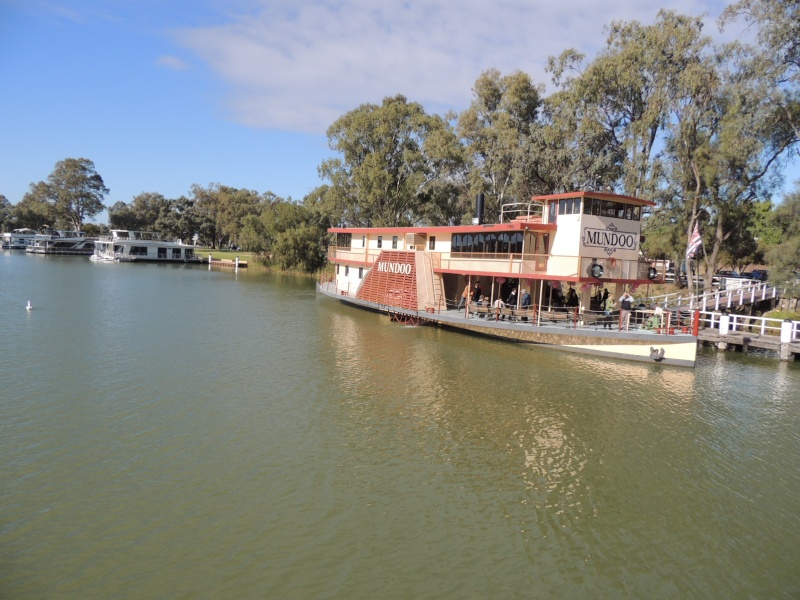 Murrey river paddle steamers Ps_mun10