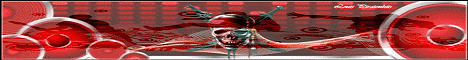 footer Banner10