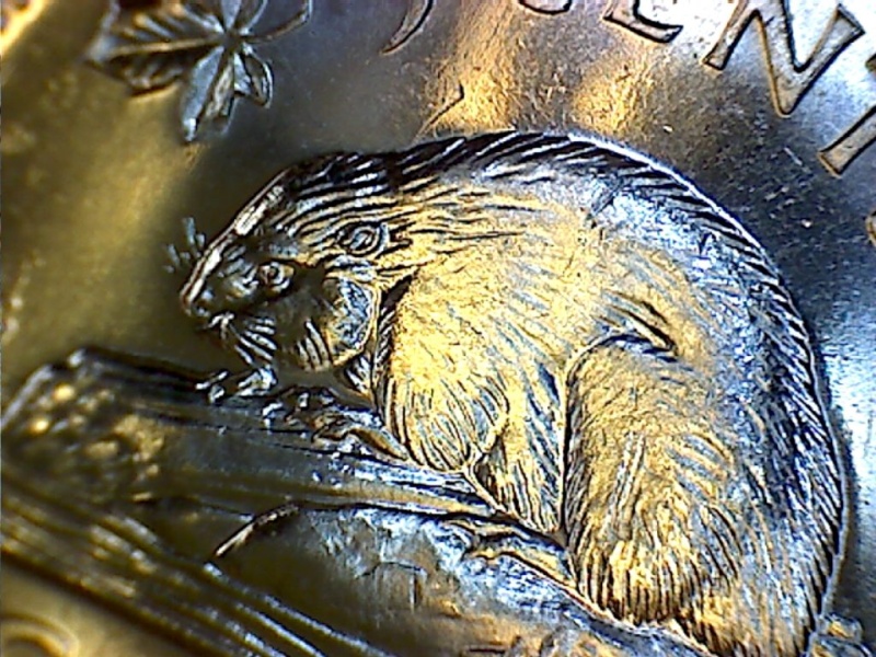 1964 - Coin Entrechoqué Double & Coin Détérioré (Dbl. Die Clash & DDD)   0610