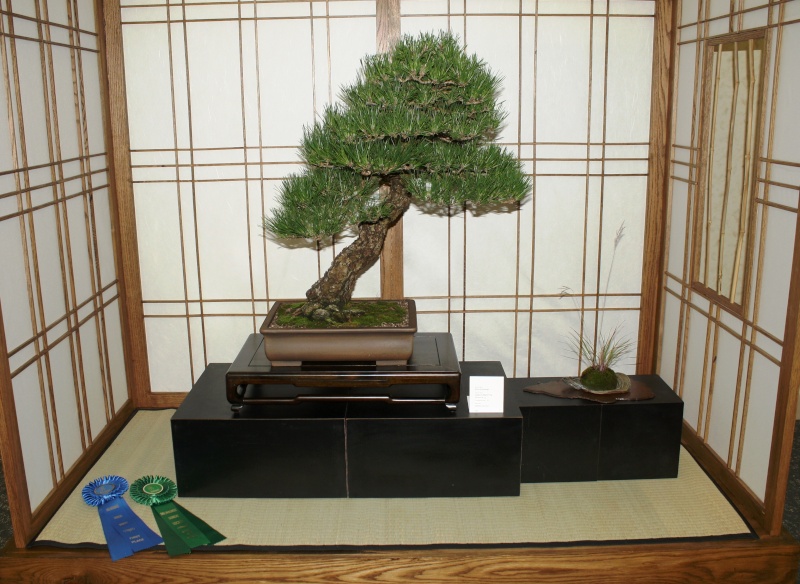 Milwaukee Bonsai Society 44th Annual Exhibit Mbs_2025