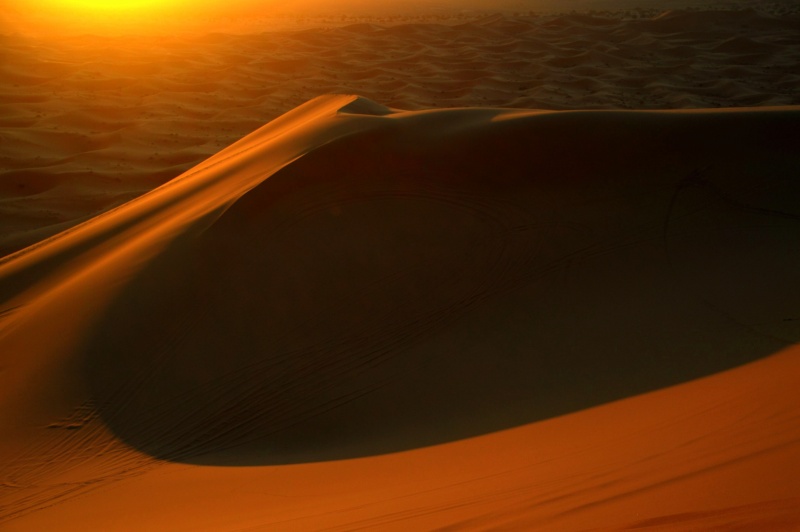Bonne année- Alerte orange:les sables ! 2014_m11
