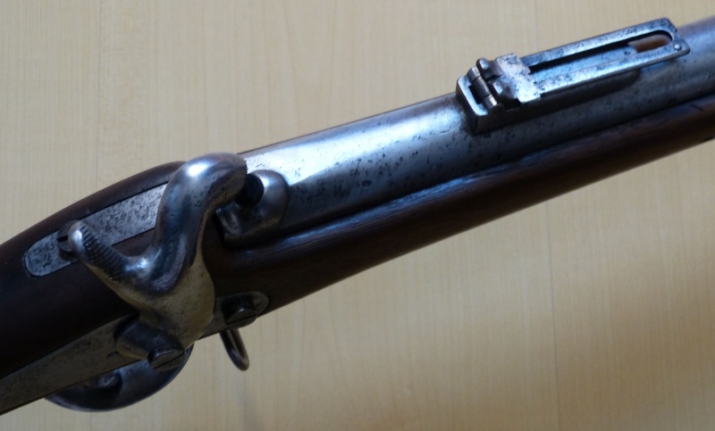 Mon fusil 1842 T-car P1020243