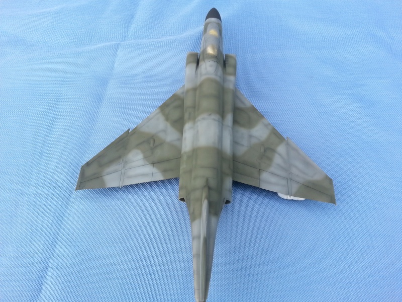 PHANTOM F-4 FGR MK.2 1/48 haseg   FINI ... - Page 2 20140761