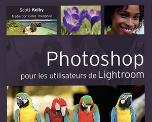 Photoshop pour les utilisateurs de Lightroom Arton910