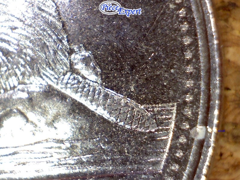 2009 - Éclat de Coin, Point sur la Queue (Die Chip, Dot on Beavers Tail) 2009_q11