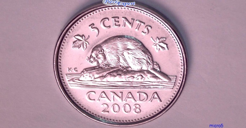 2008 - Coin Détérioré (Chromage) autour de la Tête du Castor (Deficient Chroming) 5_cen165
