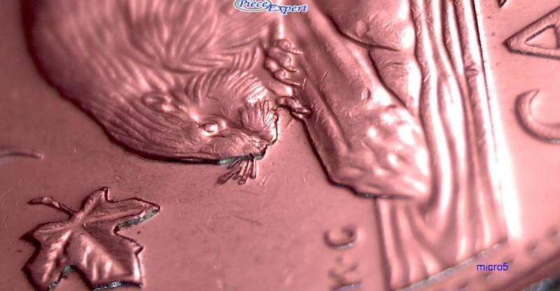 2012 - Dommage au Coin, Épine Patte Avant (Die Damage) 5_cen169