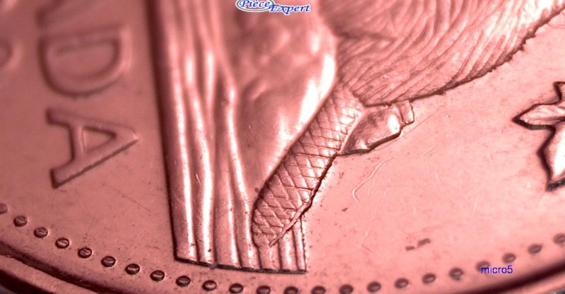 2009 - Éclat de Coin, Point sur la Queue (Die Chip, Dot on Beavers Tail) 5_cen375