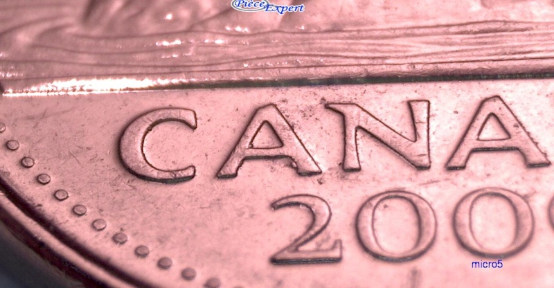 2009 - Éclat de Coin, cAnada, Feuille de Gauche & Queue Castor (Die Chip) 5_cen422