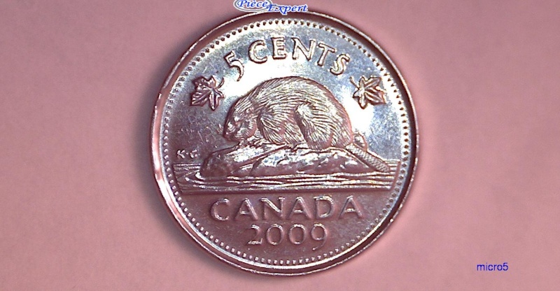 2009 - Éclat de Coin, cAnada, Feuille de Gauche & Queue Castor (Die Chip) 5_cen426