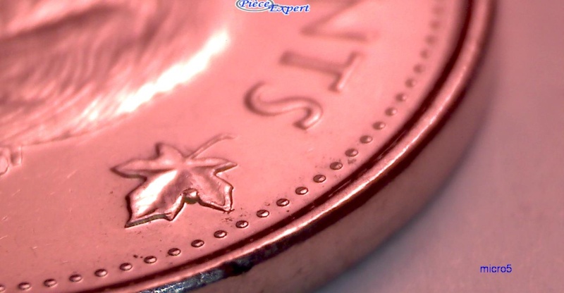 2011 - Éclat de Coin, Feuille Droite # 1 (Die Chip) 5_cen440