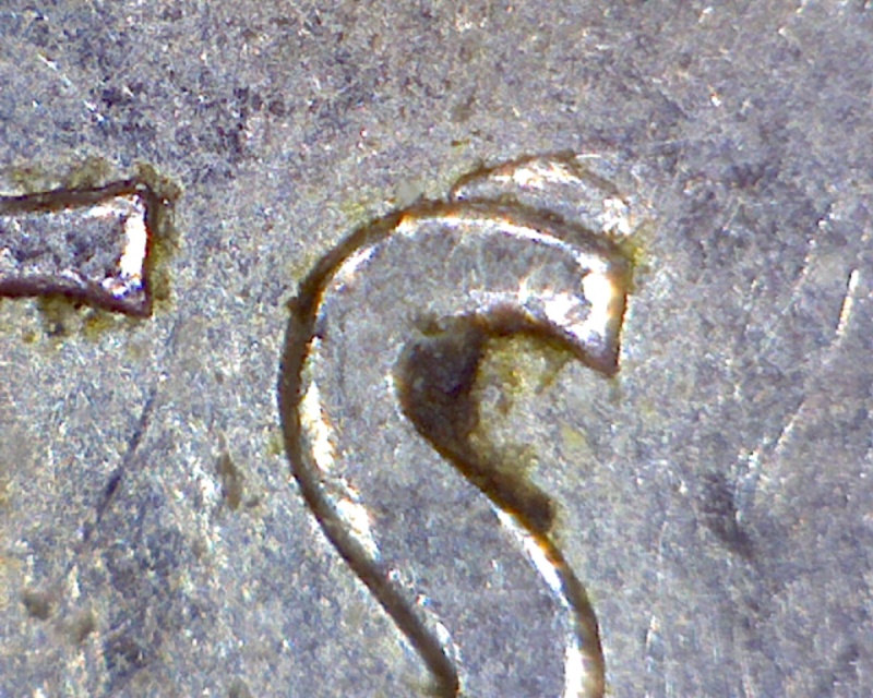 1961 - Éclat de Coin sur le "S" & "N" de CENTS (Die Chip on "S" & "N") 5_cent20
