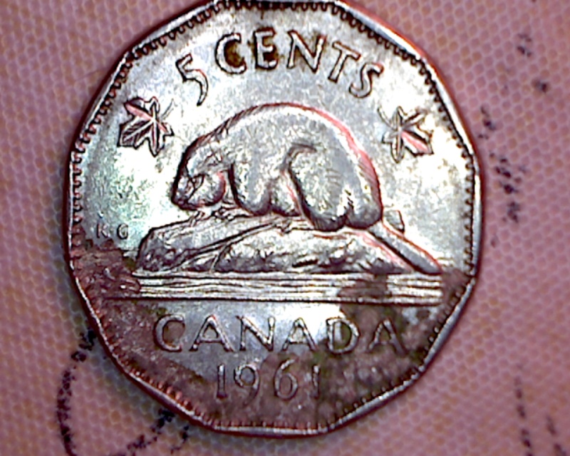 1961 - Éclat de Coin sur le "S" & "N" de CENTS (Die Chip on "S" & "N") 5_cent24