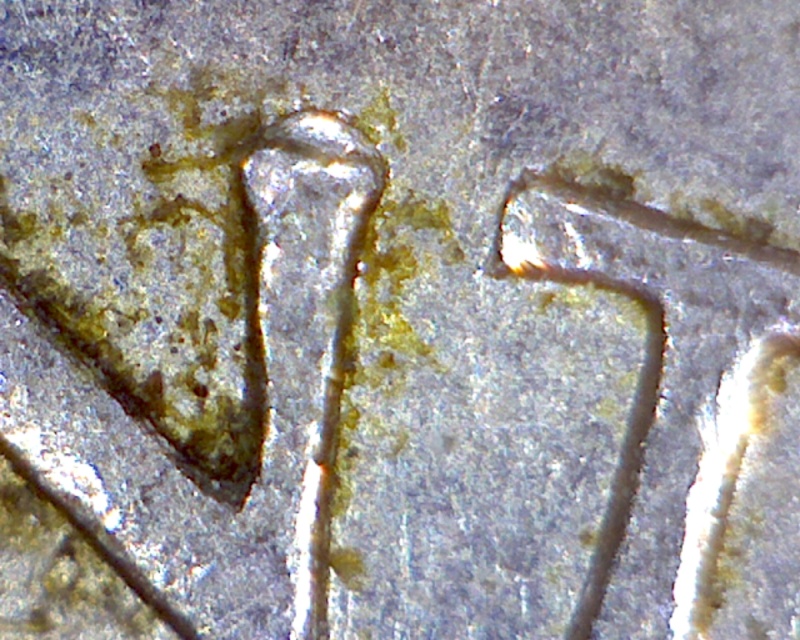 1961 - Éclat de Coin sur le "S" & "N" de CENTS (Die Chip on "S" & "N") 5_cent26