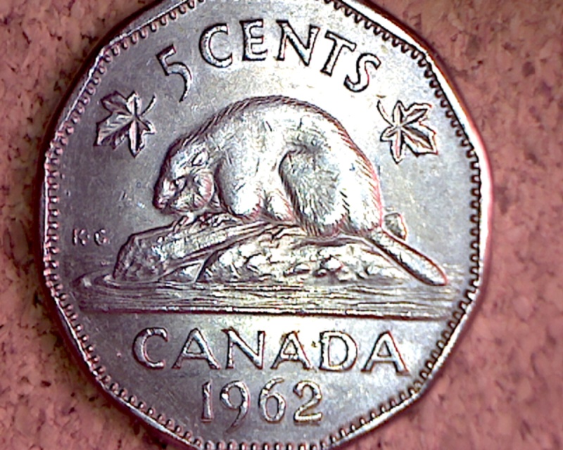 1962 - Double Date, "Canada" & Castor (Beaver) 5_cent46