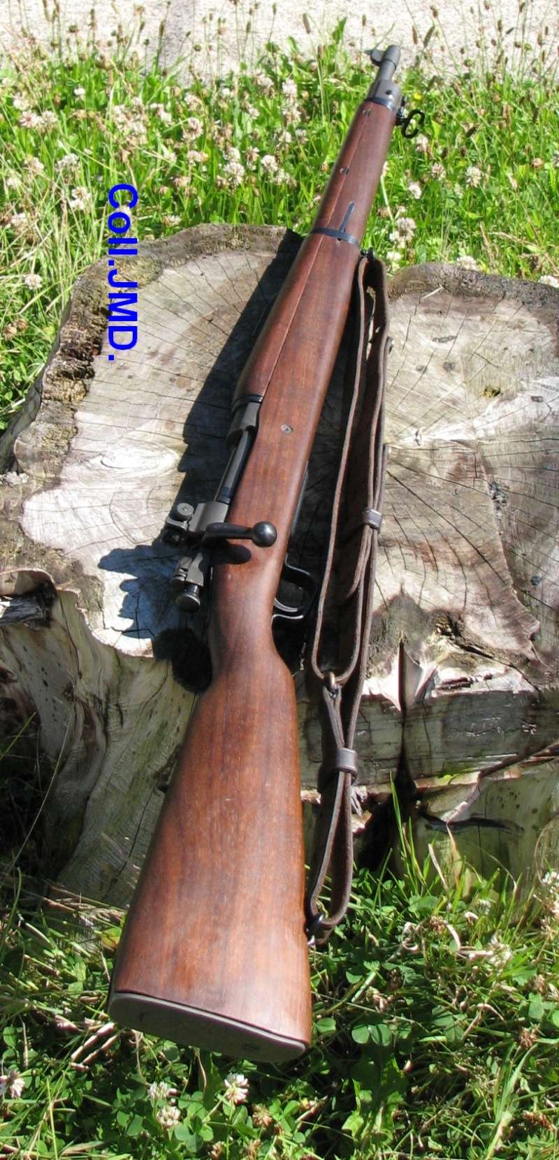 Remington US 1903 et Springfield M1903 Fusil_11