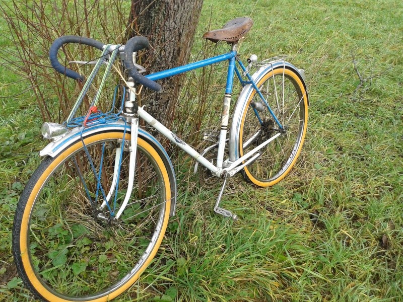 Cycles Terrot 195? 20131214