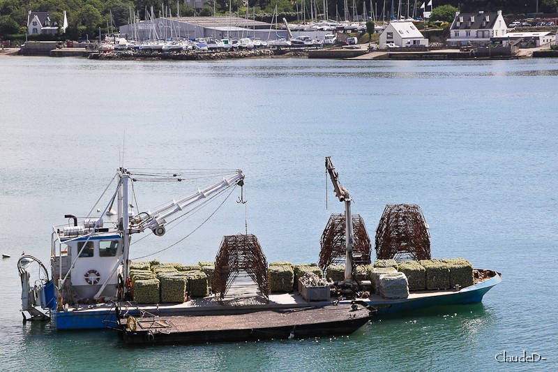 La Trinité-sur-Mer Capt211