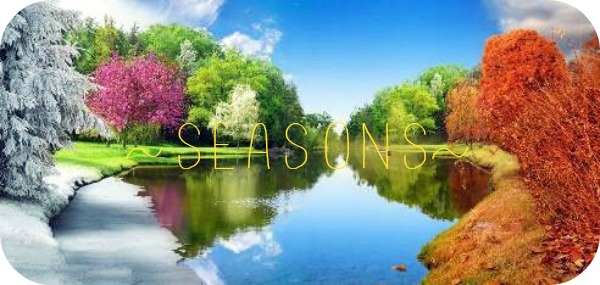 Seasons~A Warriors RP~ NOW OPEN~ Four-s11