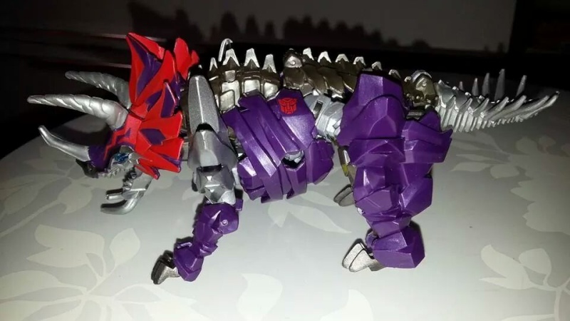Collection Transformers de sylv1 (AOE, CHUG, TF PRIME, BH, MP, LABELS INDÉS ET G1.. ) Img_1560