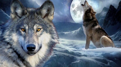 Werewolf Time Werwal10