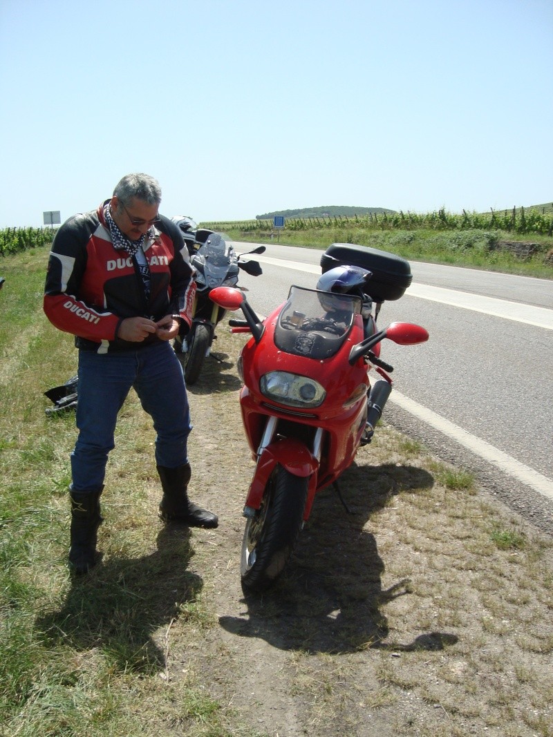 Sortie  en Alsace du dimanche 8 juin Dsc04323