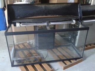 Vends aquarium 100 L équipé Bac_1011