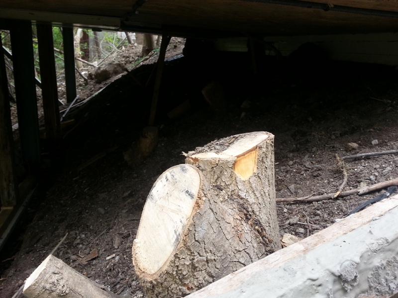 Спил деревьев и установка гаража во дворе дома по Цветочной улице 20140416