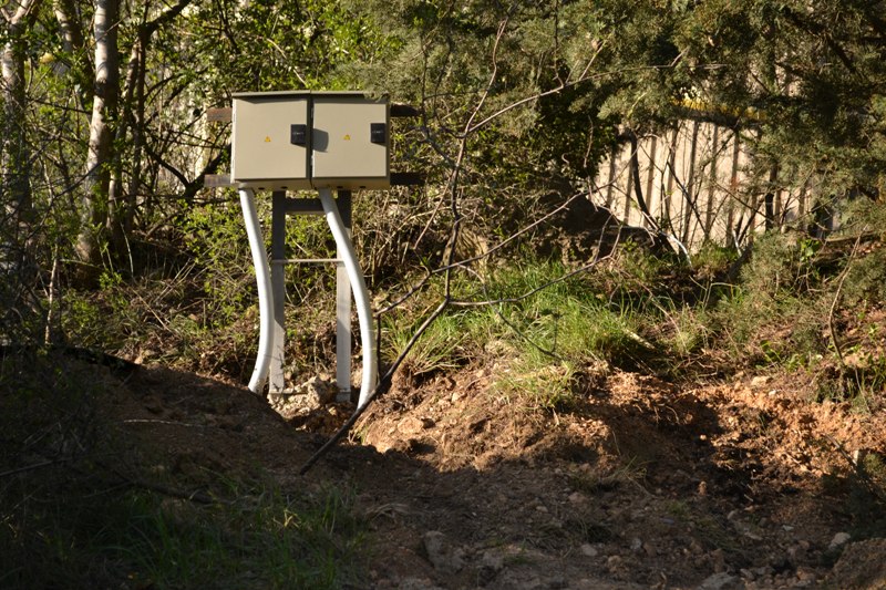 Повреждение и вырубка деревьев на Поликуровском мемориале в 2013 году Dsc_0711