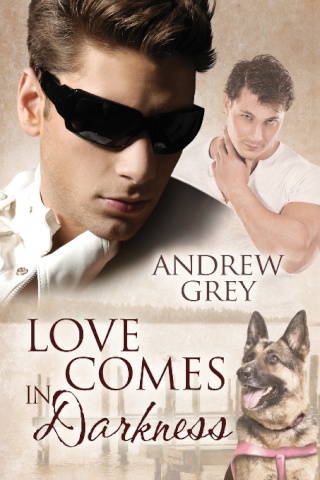 Love Comes in Darkness-Andrew Grey-A Senses Series Story tome 2 Love_c12