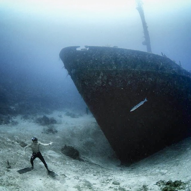 Les plus belles photos d' AQUAFAM Carlos10