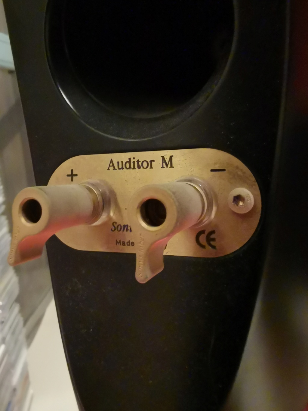 Sonus Faber Cremona Auditor M Img_2061