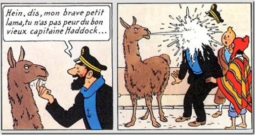 Les choses que vous détestez! (alors que normalement, il n'y a aucune raison...) Tintin10