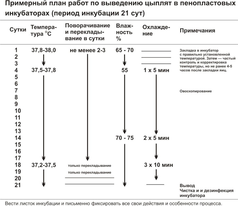 Схема инкубации индюшиных яиц