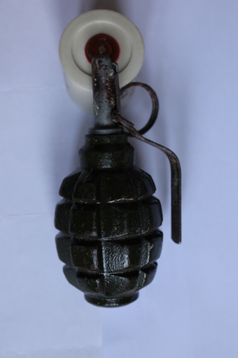 La grenade f1 russe Img_5616