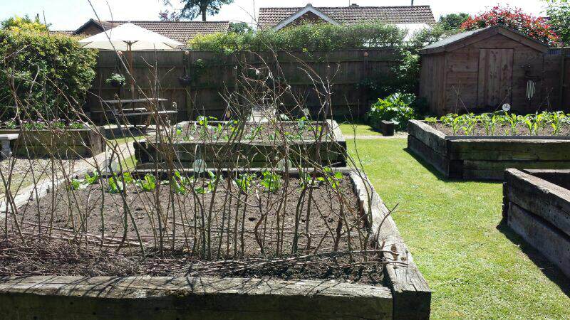 Does anyone here grow their own fruit and vegetables?  Photo110