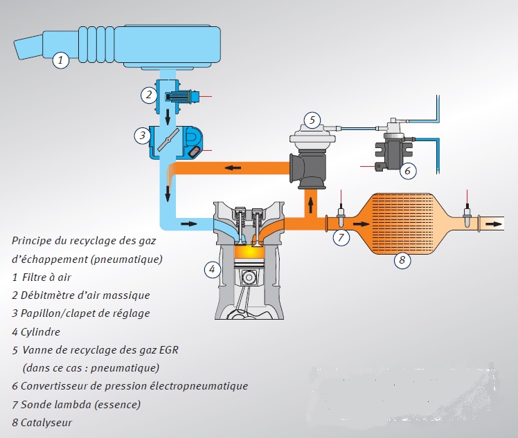 [Zafira B 1.7 cdti 125] EGR et FAP. Egrfap11