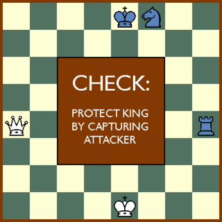القواعـد الأساسية للعب الشطرنج 3 Checka13