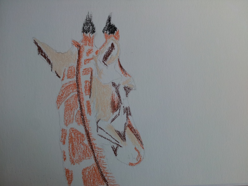 Girafe aux pastels secs. 20140624